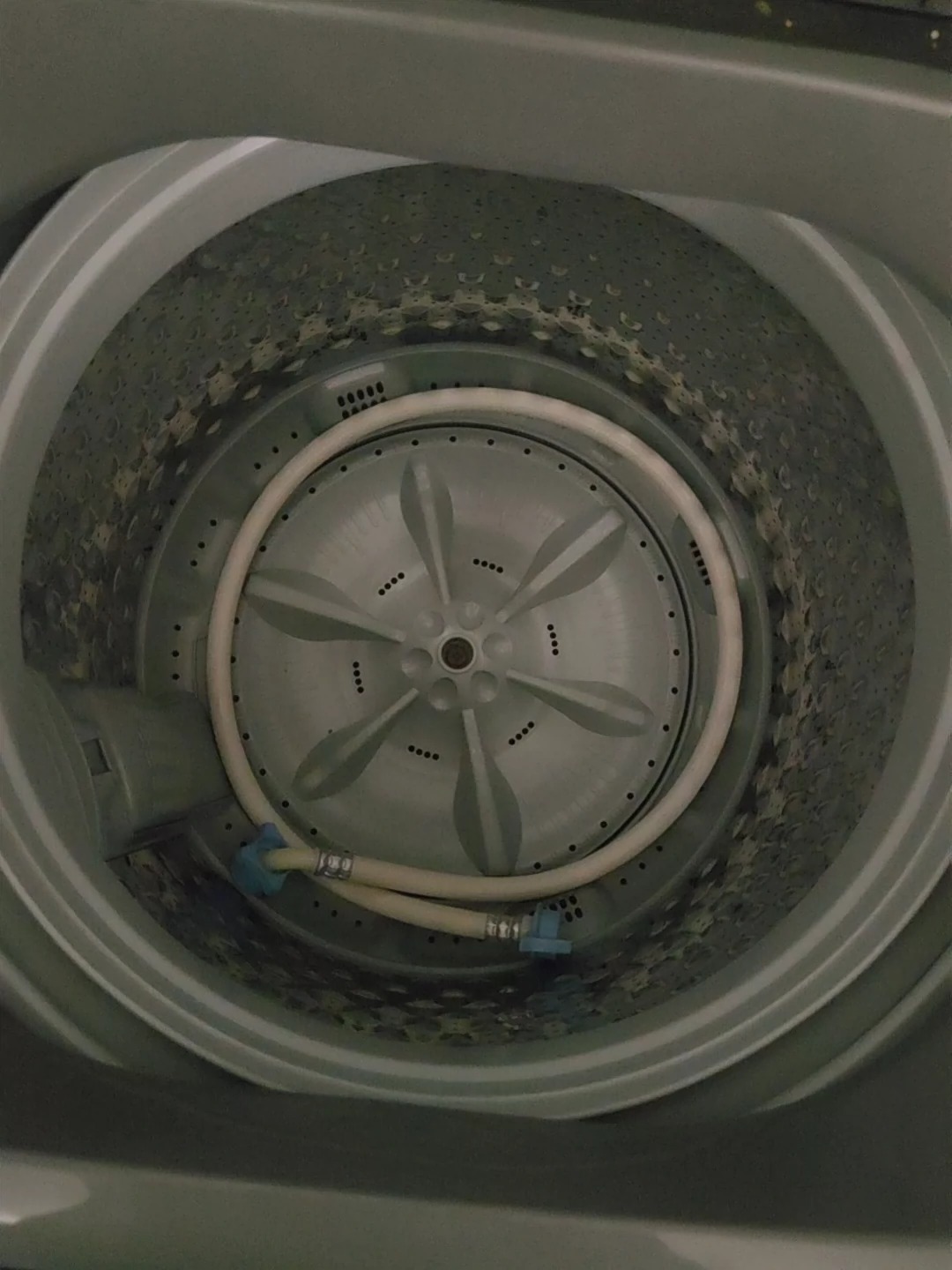 小天鹅洗衣机 8kg波轮 在保修期 京东官方旗舰店购买 实际使用年限大概2年 去年购入大的了就没怎么用了 去年做了保养清洁 购入大的了所以出闲置 不是二手贩子, 小天鹅洗衣机 8kg波轮 在保修期 京东官方旗舰店购买 实际使用年限大概2年 去年购入大的了就没怎么用了 去年做了保养清洁 购入大的了所以出闲置 不是二手贩子,